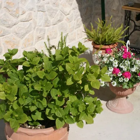 Διαμέρισμα By The Sea Bibinje, Zadar - 6200 Bibinje