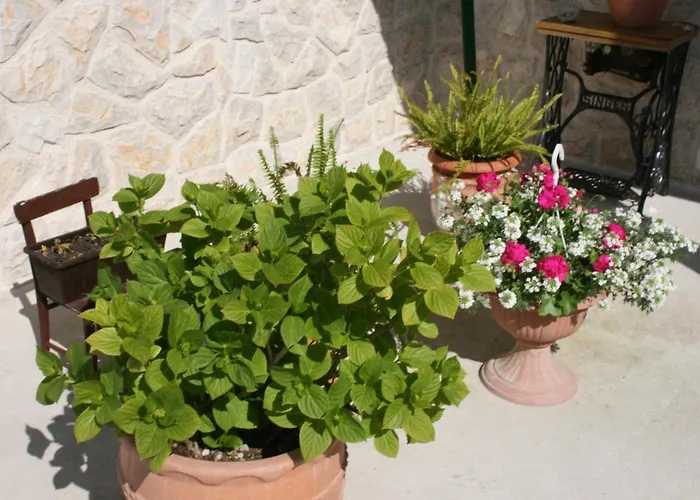 Appartement By The Sea Bibinje, Zadar - 6200 Bibinje